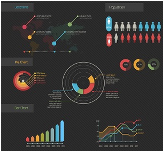 Chiropractic Software Management Dashboard
