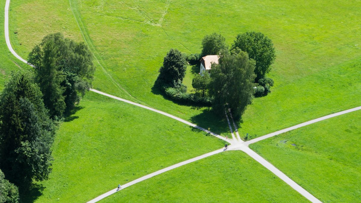 Green tree
